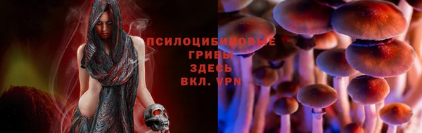 MDMA Premium VHQ Лиски