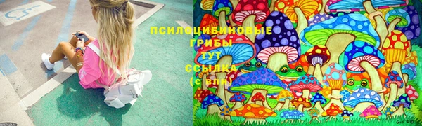твердый Магадан