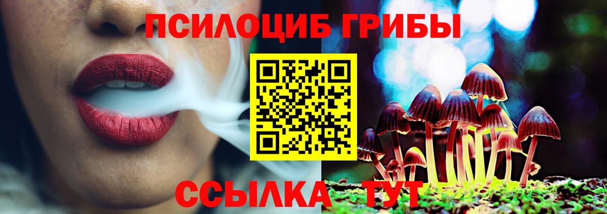 Котовск  Псилоцибиновые грибы прущие грибы  Галлюциногенные грибы Psilocybine cubensis  Вход с VPN 